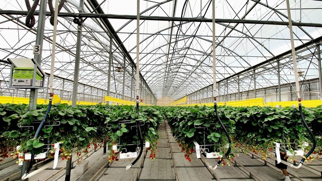 Дмитрий Патрушев: Внедрение газопоршневых электростанций на предприятиях АПК позволит снизить себестоимость сельхозпродукции