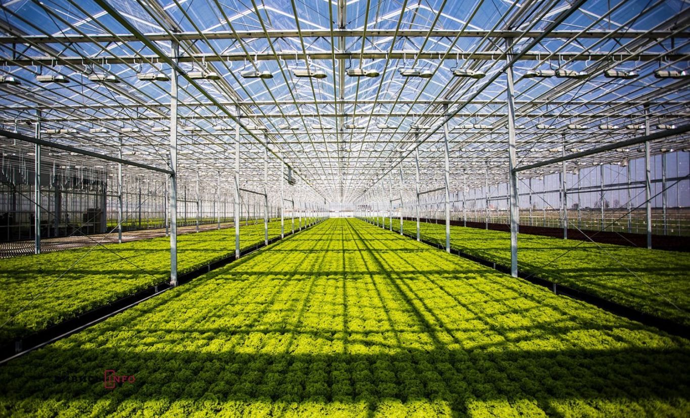 Минсельхоз РФ: инвестиции во внедрение в АПК малой газовой генерации превысили в прошлом году 6 млрд руб.