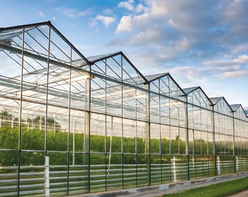 Эффективное решение для тепличных комплексов DELTA